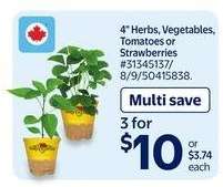 4" Herbs, Vegetables, Tomatoes or Strawberries