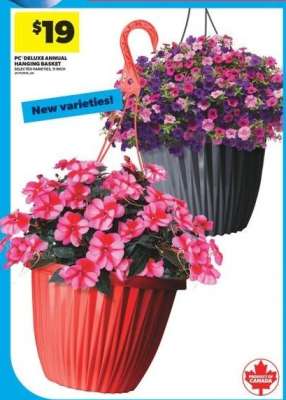 PC Deluxe Annual Hanging Basket