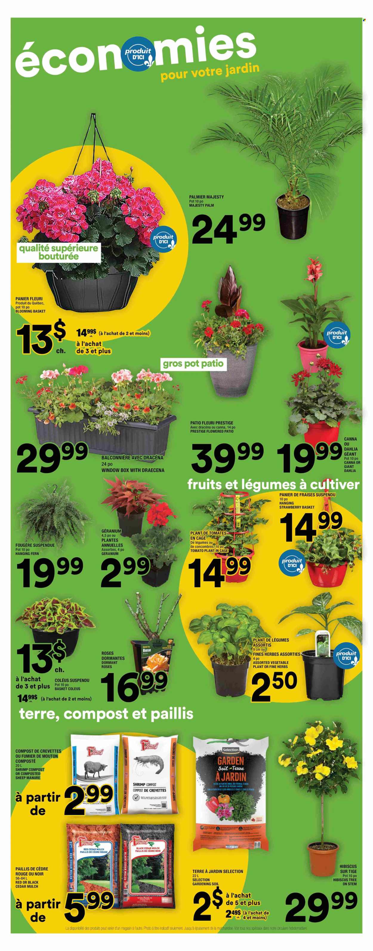 Super C flyer - May 08, 2025 - May 14, 2025. Page 1