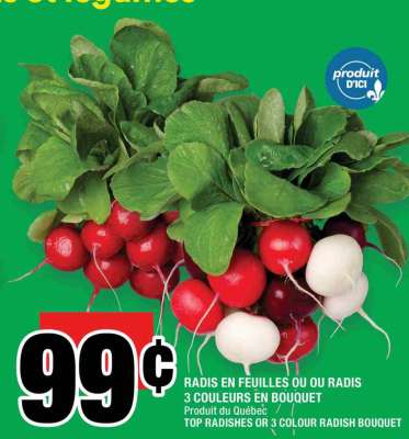 RADIS EN FEUILLES OU OU RADIS 3 COULEURS EN BOUQUET