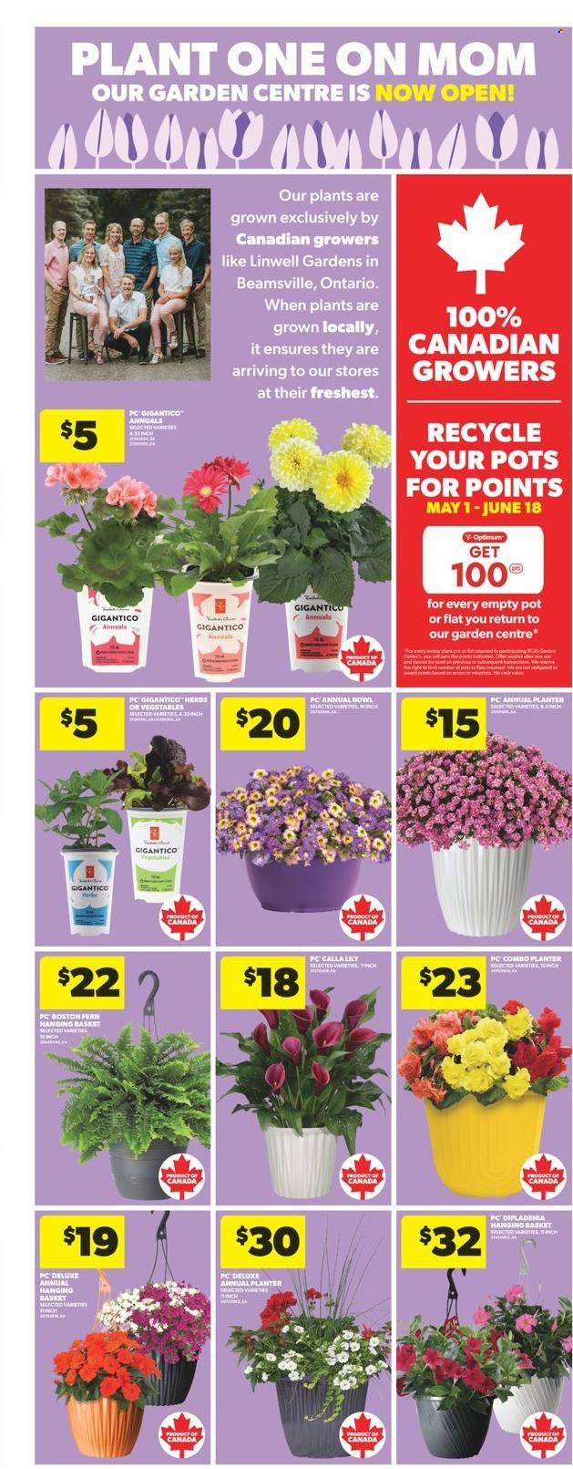 Real Canadian Superstore flyer - May 08, 2025 - May 14, 2025. Page 1