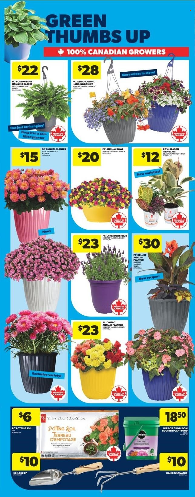 Real Canadian Superstore flyer - May 08, 2025 - May 14, 2025. Page 1