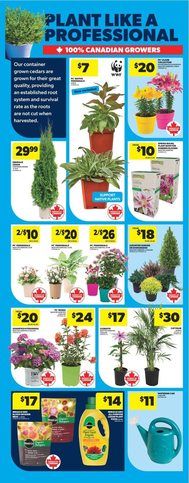 Real Canadian Superstore flyer - May 08, 2025 - May 14, 2025. Page 1
