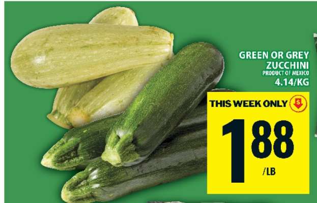 Green or Grey Zucchini