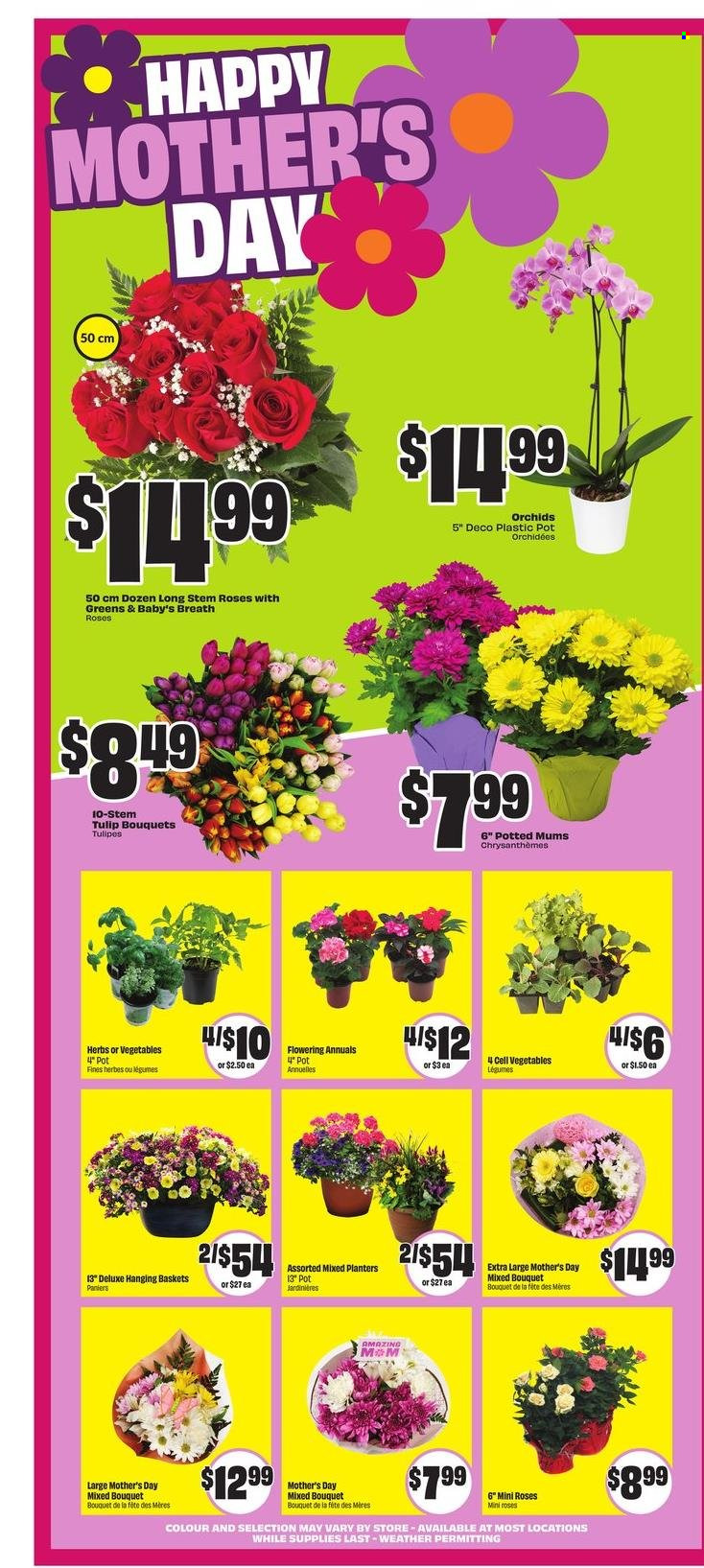 Chalo! FreshCo. flyer - May 08, 2025 - May 14, 2025. Page 1
