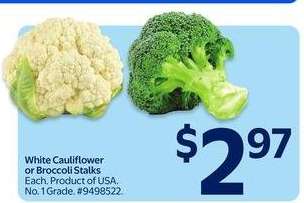 White Cauliflower or Broccoli Stalks