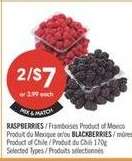 Raspberries / Blackberries