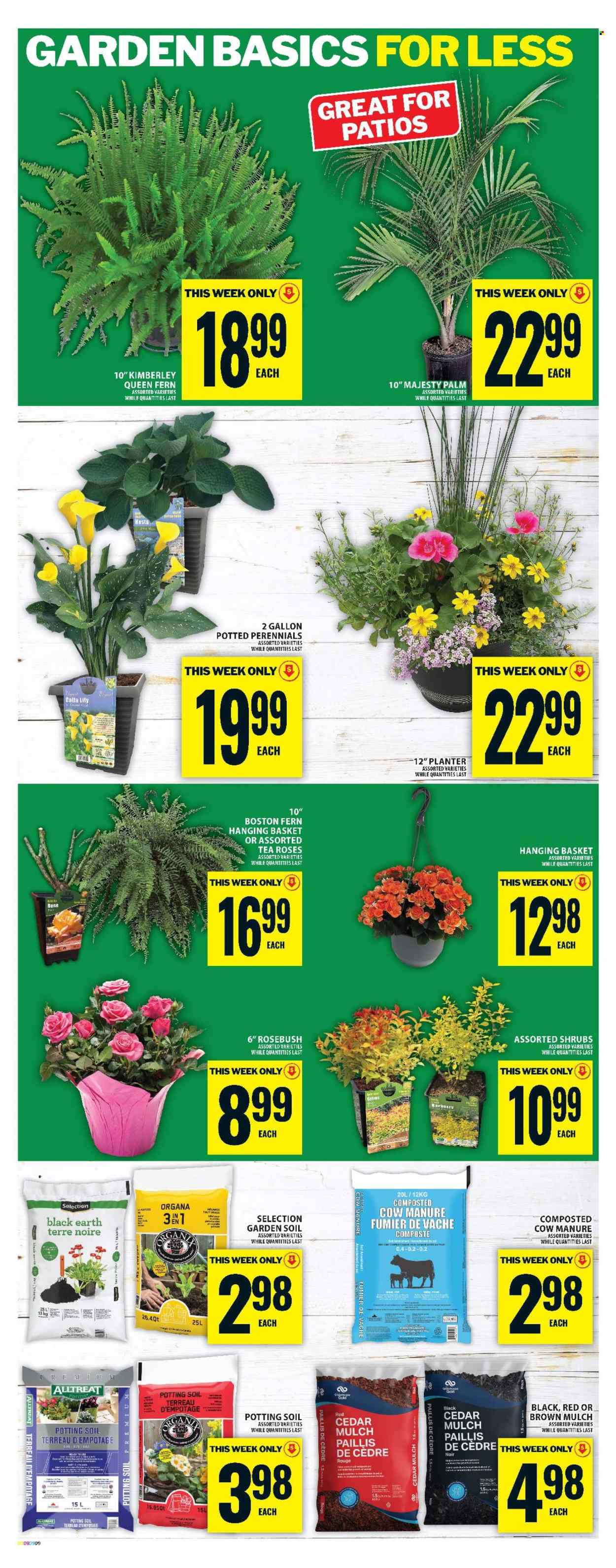 Food Basics flyer - May 28, 2026 - June 03, 2026. Page 18