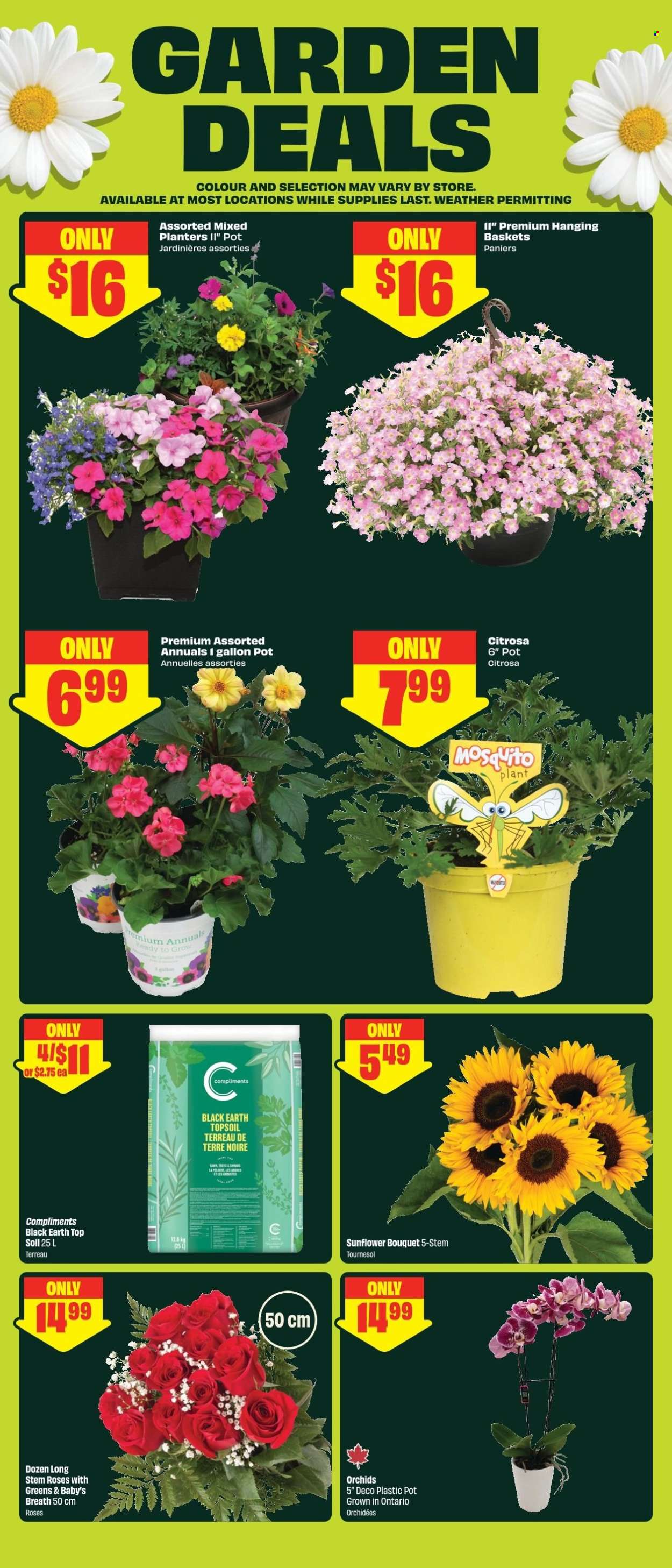 FreshCo. flyer - May 28, 2026 - June 03, 2026. Page 5