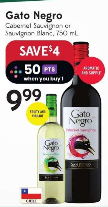Gato Negro
