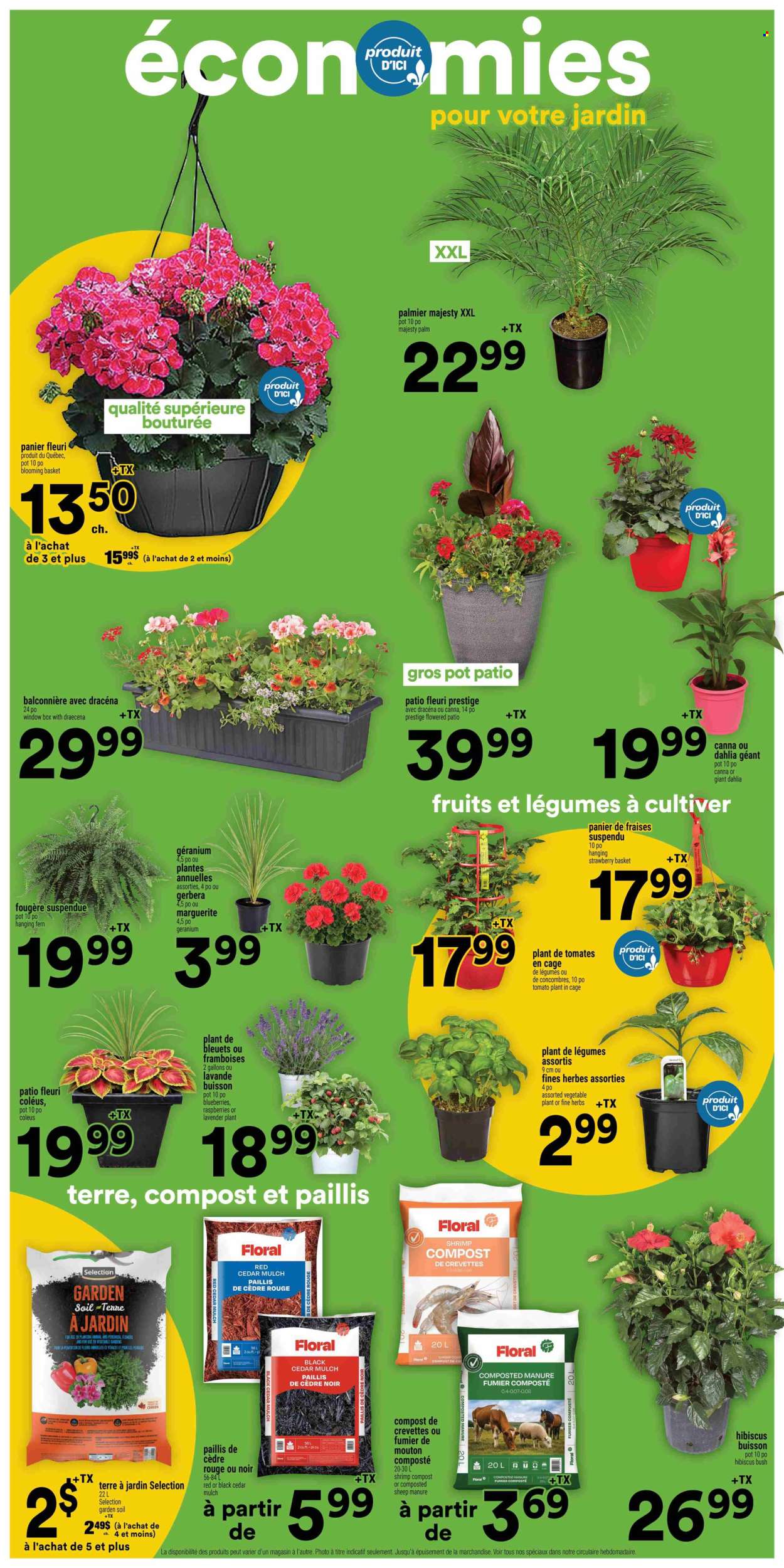 Super C flyer - June 04, 2026 - June 10, 2026. Page 11