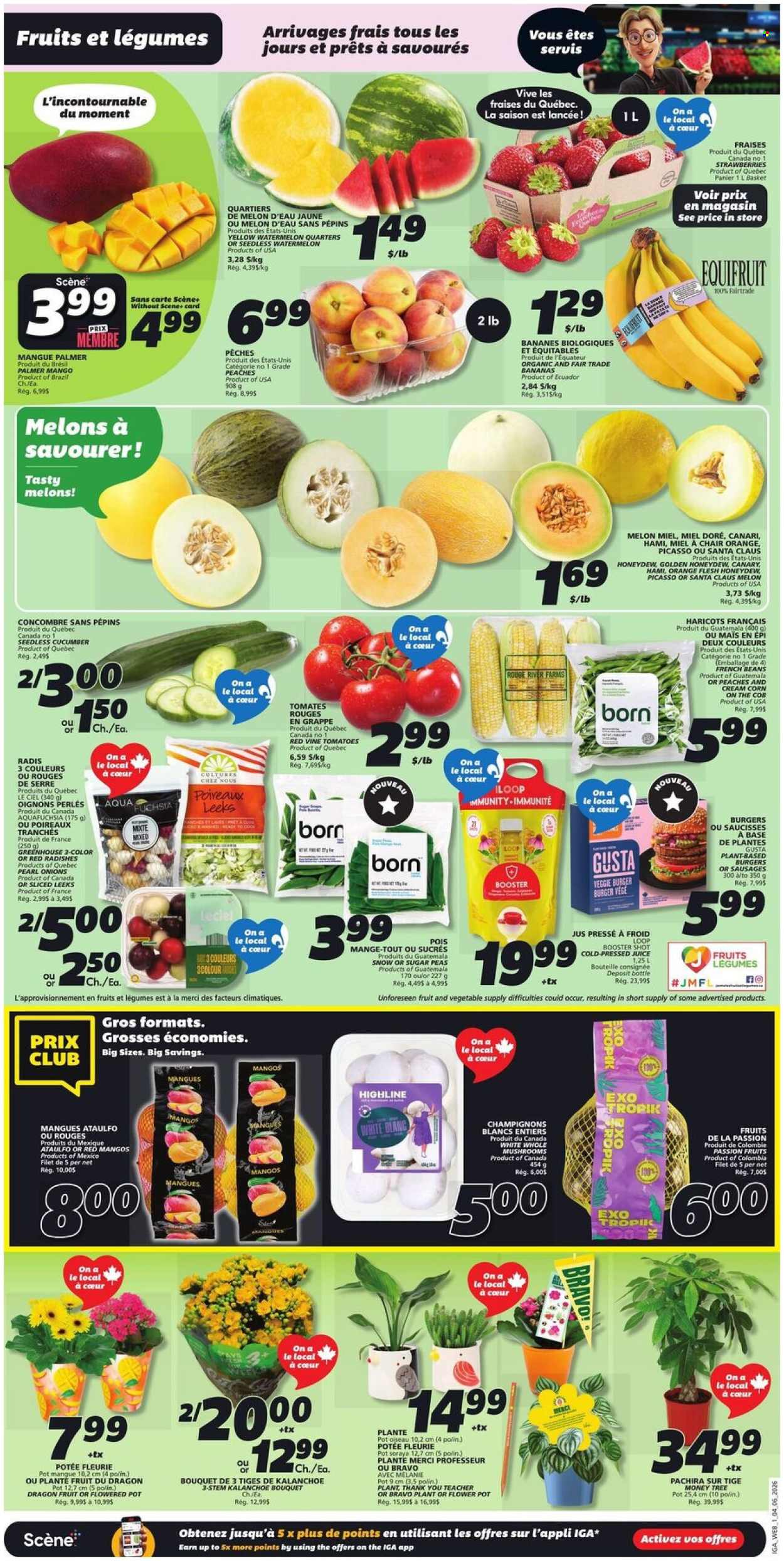 IGA flyer - June 04, 2026 - June 10, 2026. Page 3