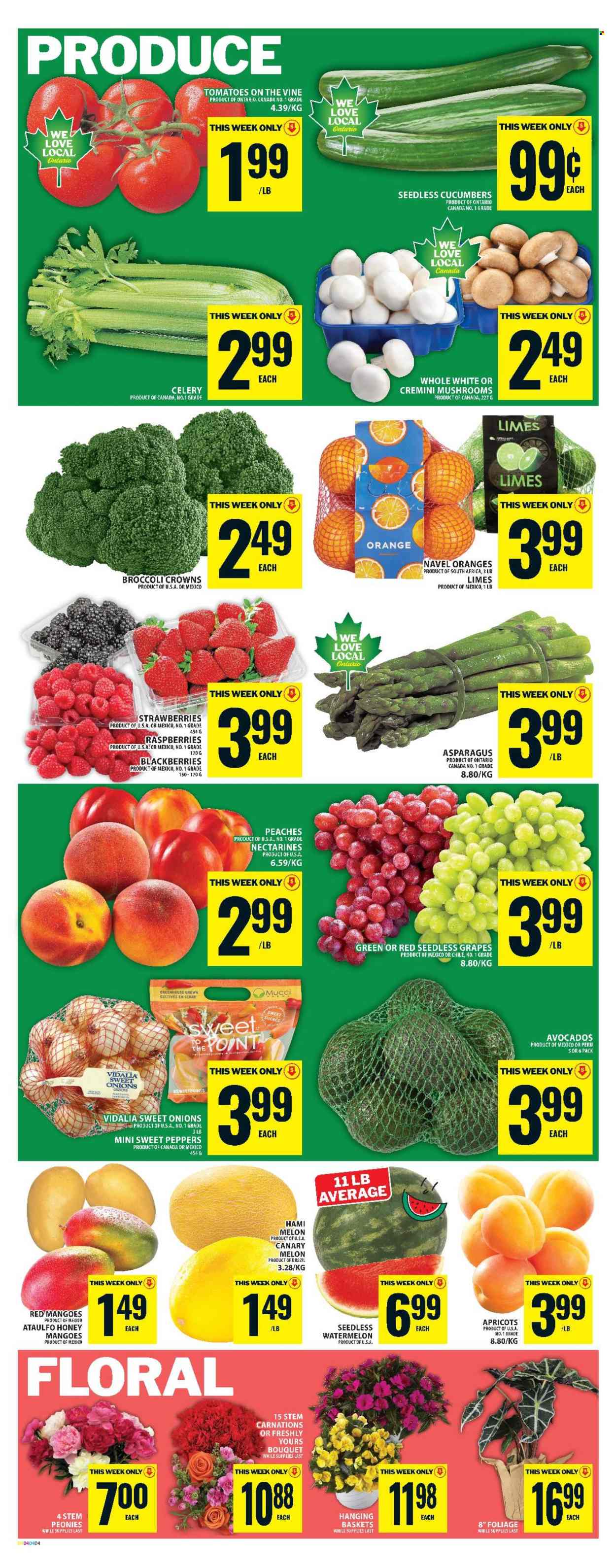 Food Basics flyer - June 04, 2026 - June 10, 2026. Page 7