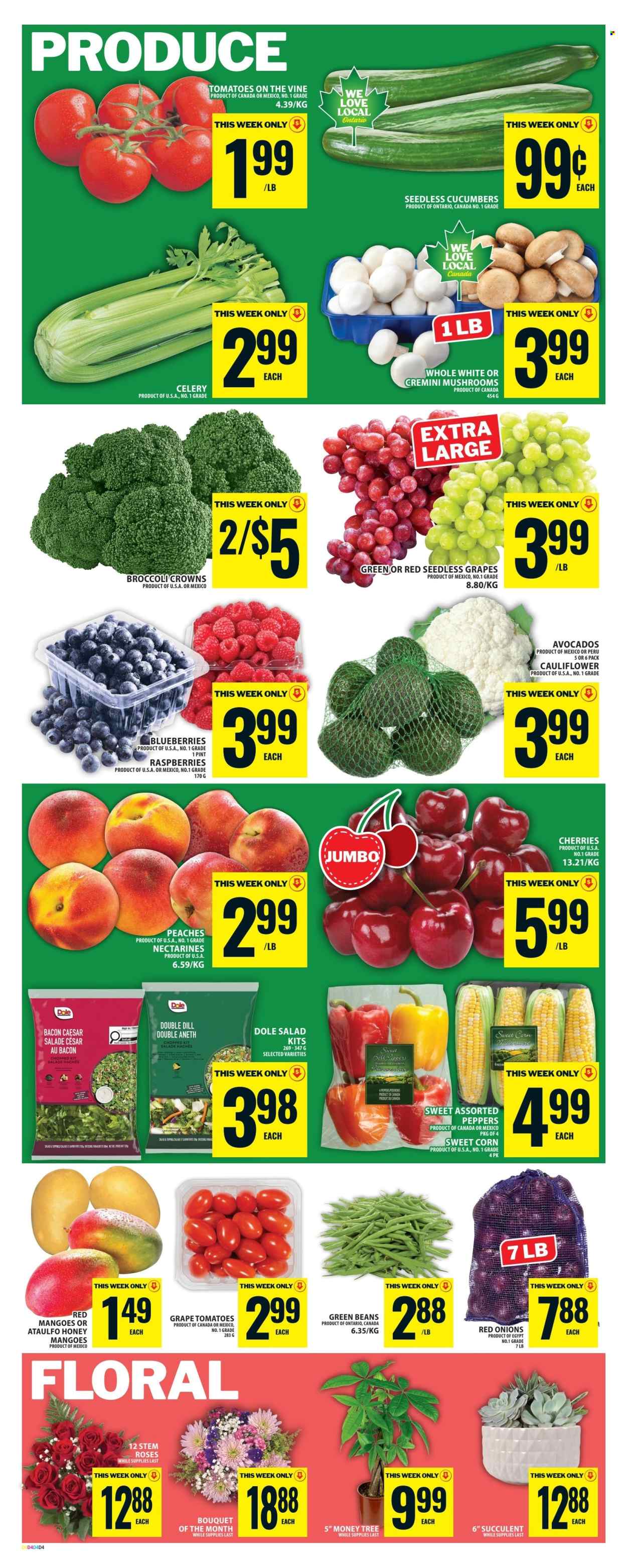 Food Basics flyer - June 11, 2026 - June 17, 2026. Page 7