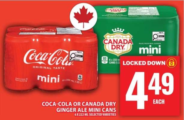 Coca-Cola or Canada Dry Ginger Ale Mini Cans