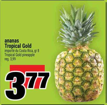 ANANAS TROPICAL GOLD