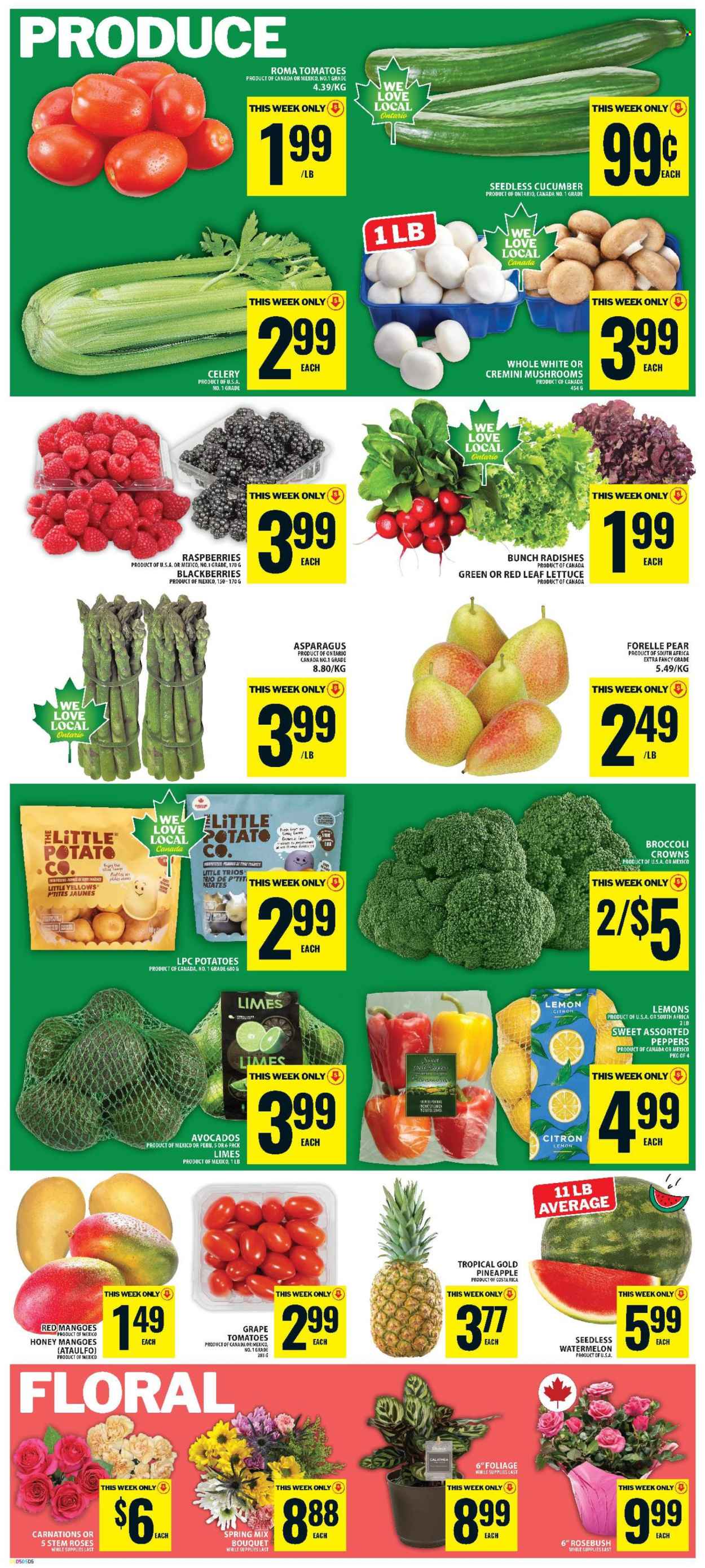 Food Basics flyer - June 18, 2026 - June 24, 2026. Page 6