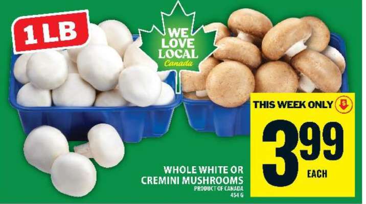 WHOLE WHITE OR CREMINI MUSHROOMS