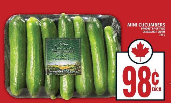 MINI CUCUMBERS