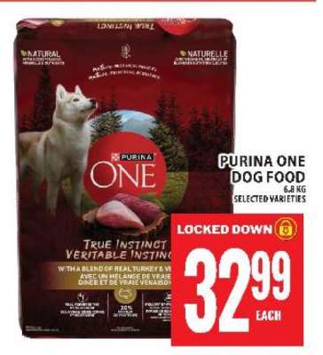 PURINA ONE DOG FOOD
