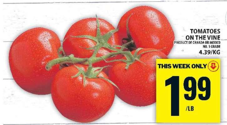 TOMATOES ON THE VINE