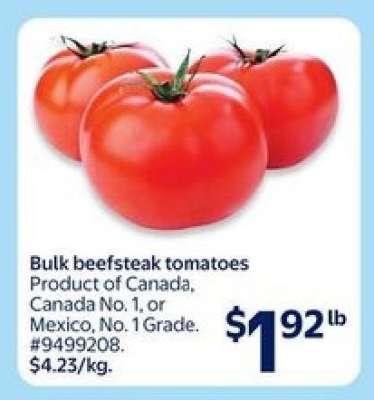 Bulk Beefsteak Tomatoes