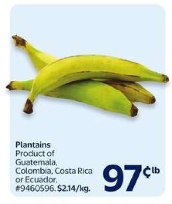 PLANTAINS