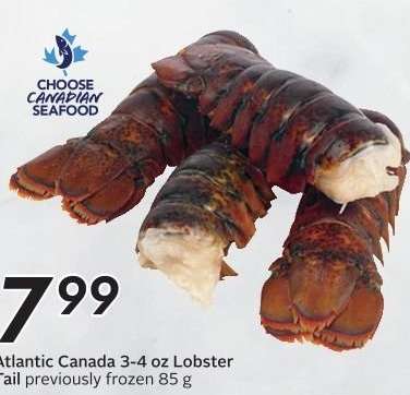 Atlantic Canada Lobster Tail