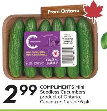 COMPLIMENTS Mini Seedless Cucumbers