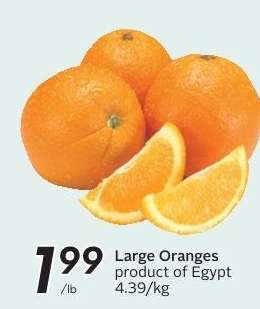 Large Oranges