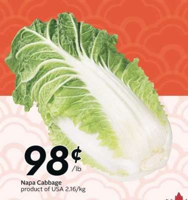 NAPA CABBAGE