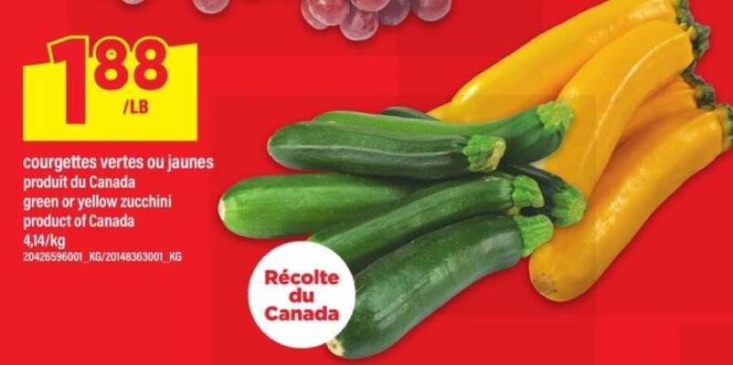 COURGETTES VERTES OU JAUNES