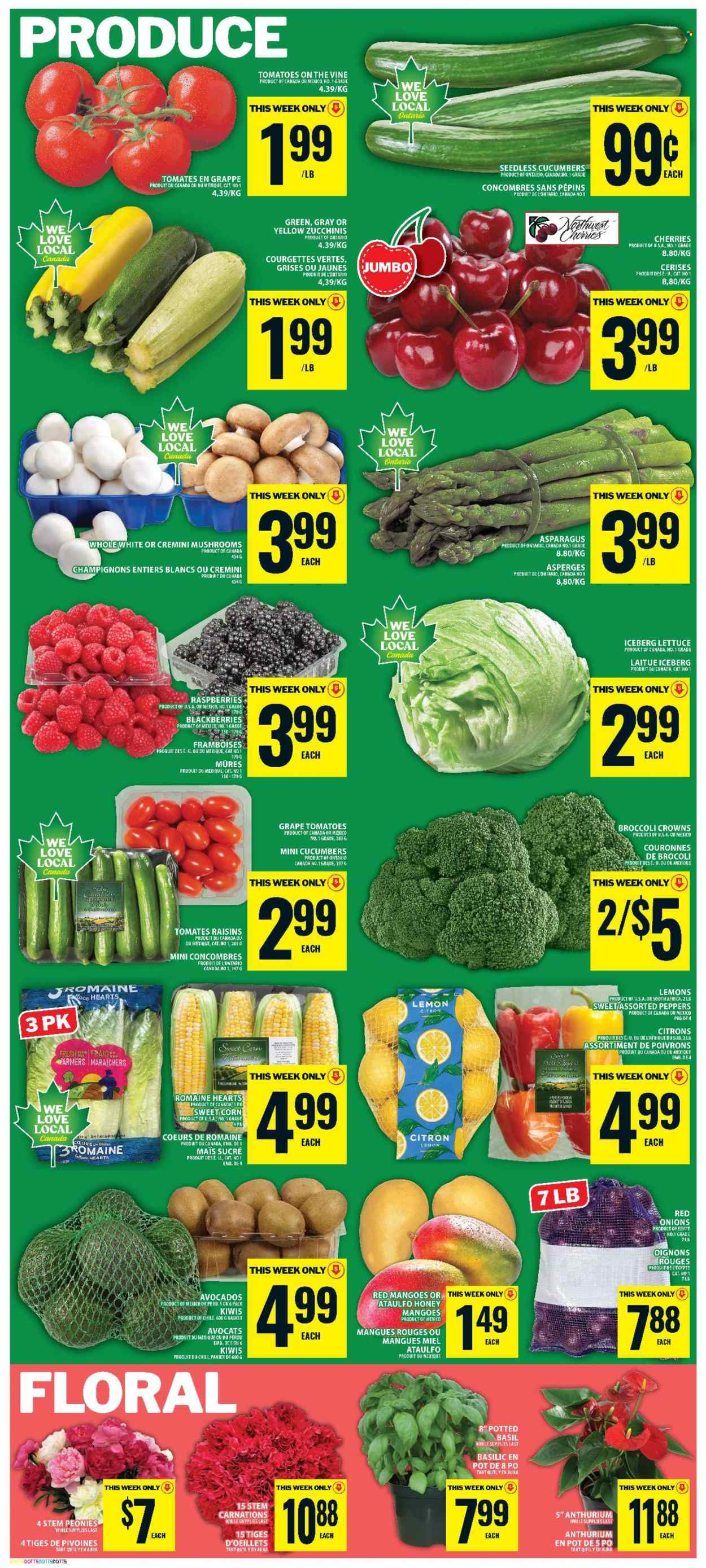 Food Basics flyer - June 25, 2026 - July 01, 2026. Page 6