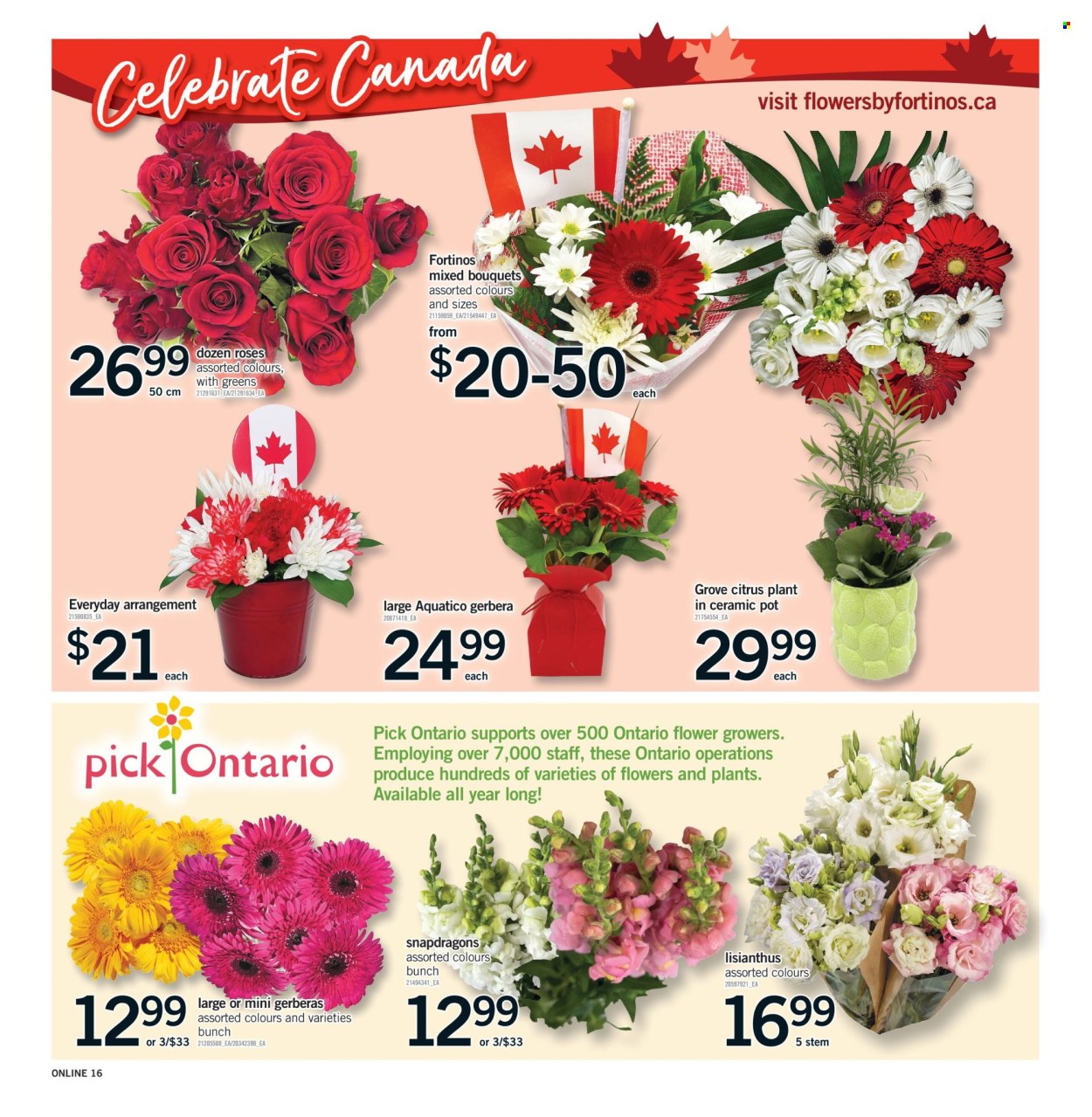 Fortinos flyer - June 25, 2026 - July 01, 2026. Page 16