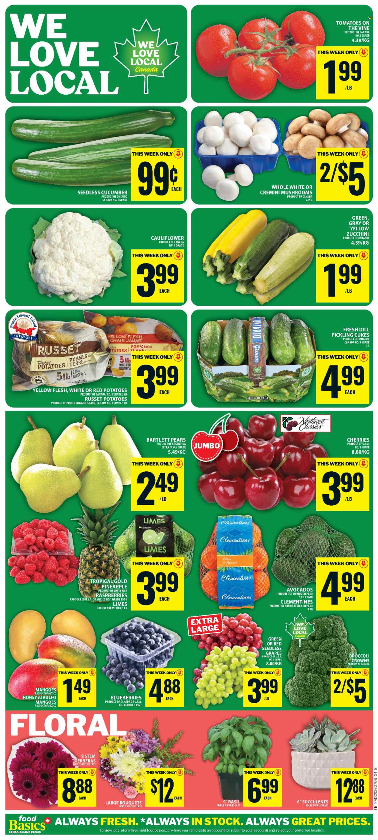 Food Basics flyer - July 09, 2026 - July 15, 2026. Page 8