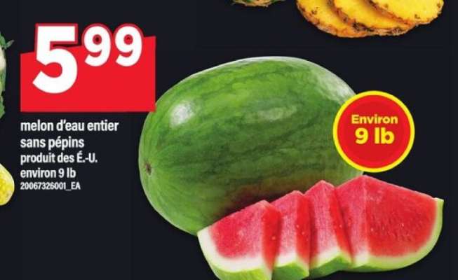 MELON D'EAU ENTIER SANS PÉPINS