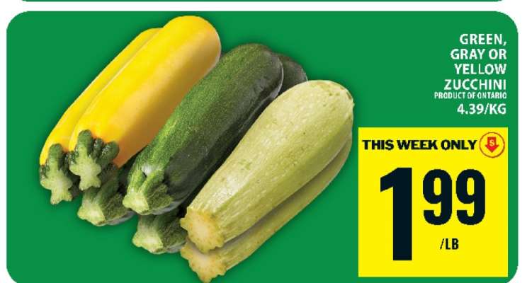 Zucchini