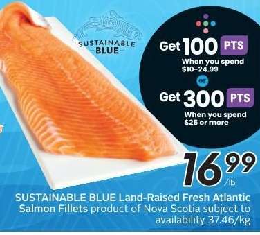 SUSTAINABLE BLUE Land Raised Fresh Atlantic Salmon Fillets