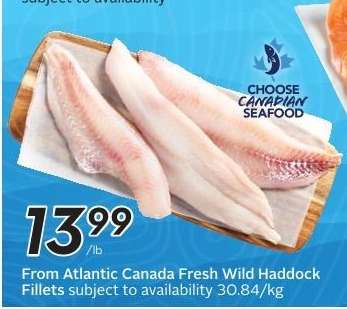 Fresh Wild Haddock Fillets