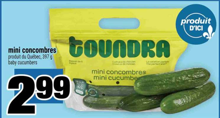 mini concombres