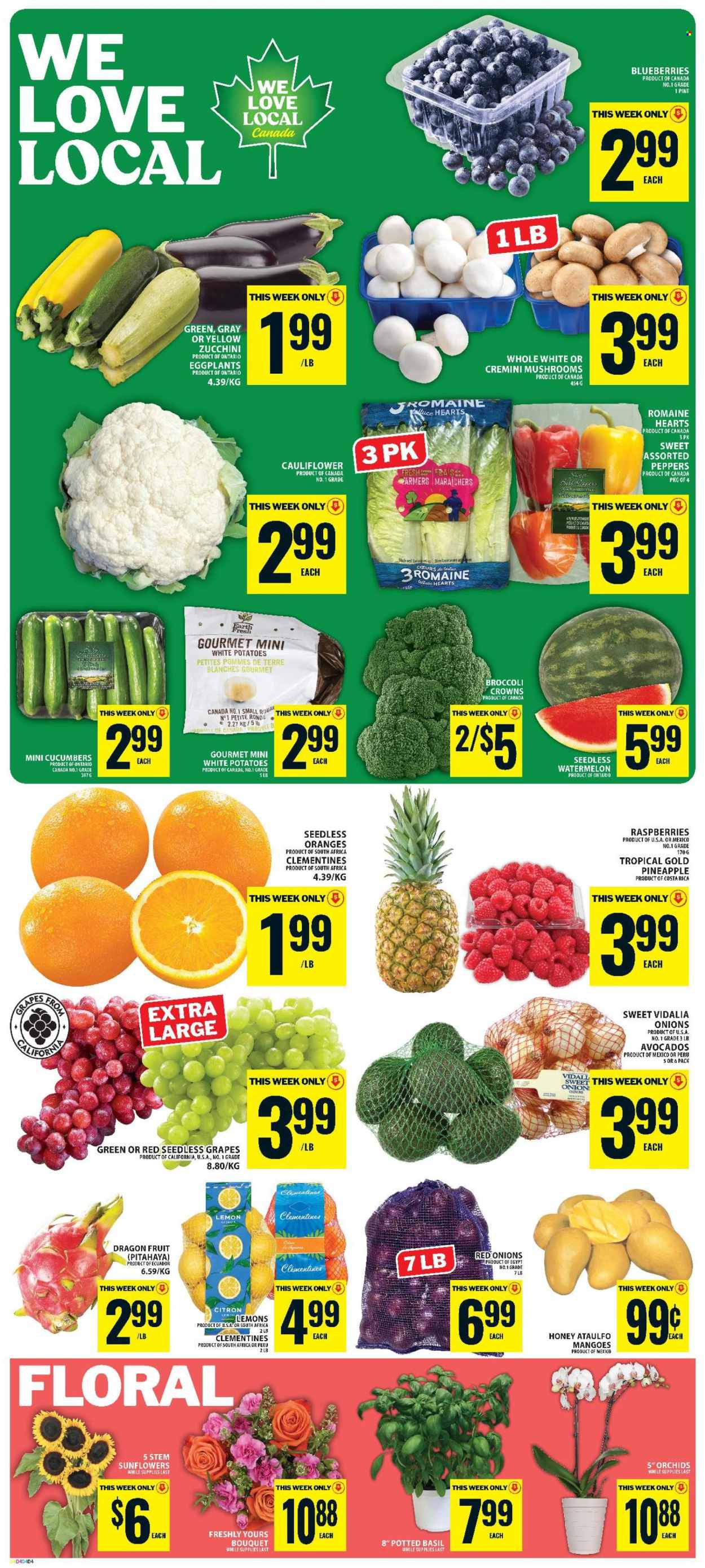 Food Basics flyer - July 30, 2026 - August 05, 2026. Page 3