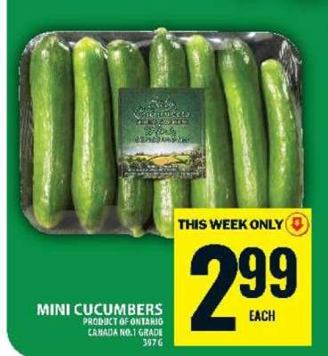 MINI CUCUMBERS