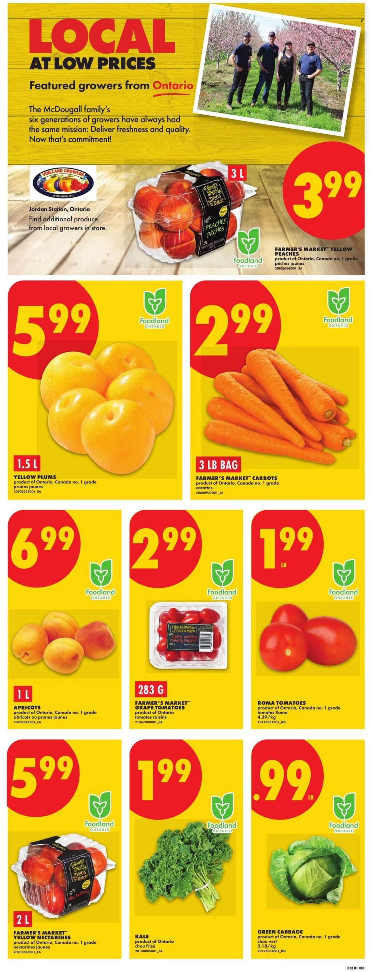 No Frills flyer - July 30, 2026 - August 05, 2026. Page 3