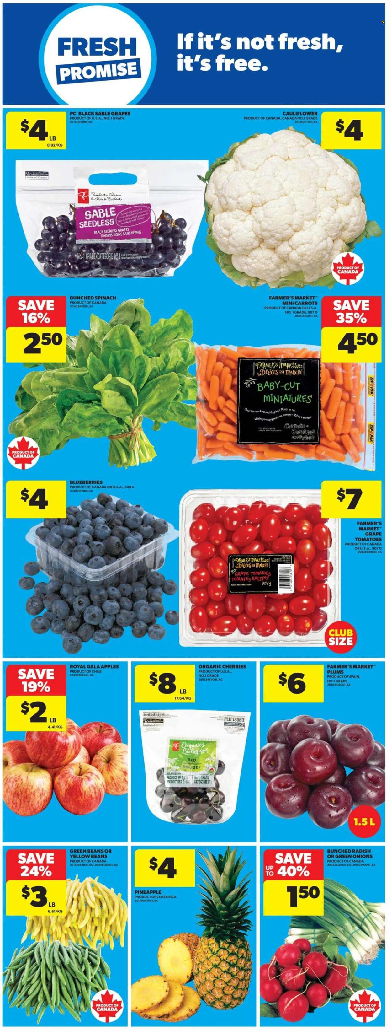 Real Canadian Superstore flyer - July 30, 2026 - August 05, 2026. Page 17