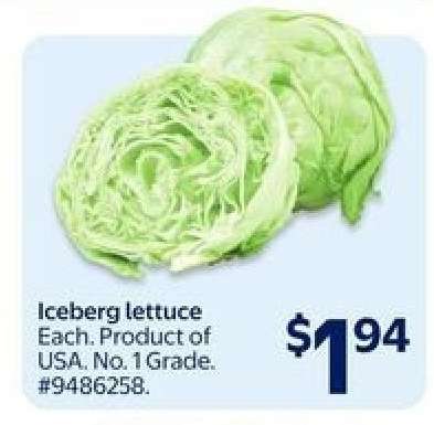 Iceberg Lettuce