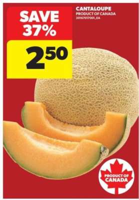 CANTALOUPE