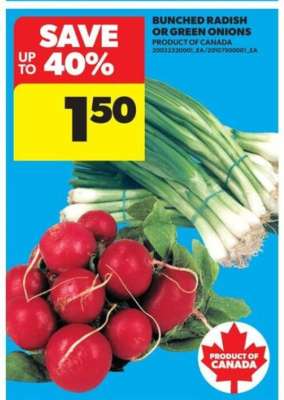 BUNCHED RADISH or GREEN ONIONS