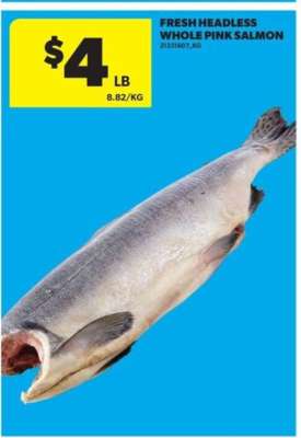 Fresh Headless Whole Pink Salmon
