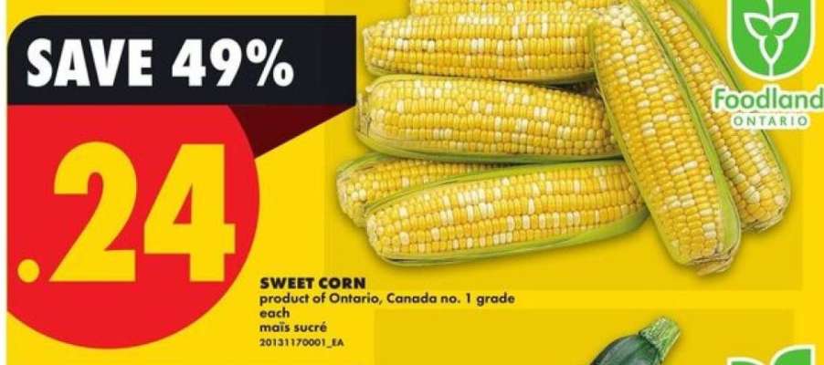 SWEET CORN