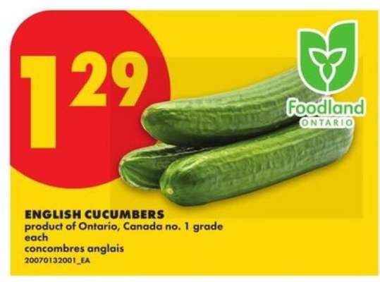 ENGLISH CUCUMBERS
